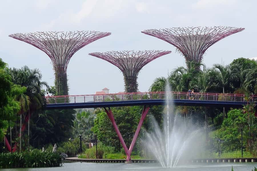Singapore: Private Customizable Singapore Tour - Price and value: what you’re really paying for at $78 per person