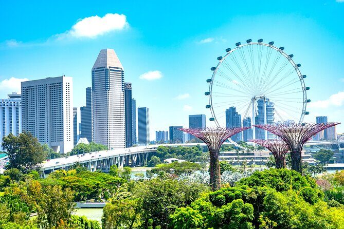 Singapore Private Customized City Tour with Driver - Temples, Chinese architecture, and the Little India to Arab Street route