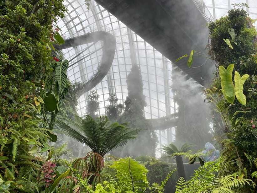Singapore: Private Customized Tour with transportation - The Guide Factor: Why Local Family Roots Matter