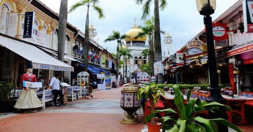 Singapore: Private Full-Day Island Tour - Private Guide + 7 Hours to See Singapore in Real Neighborhood Order