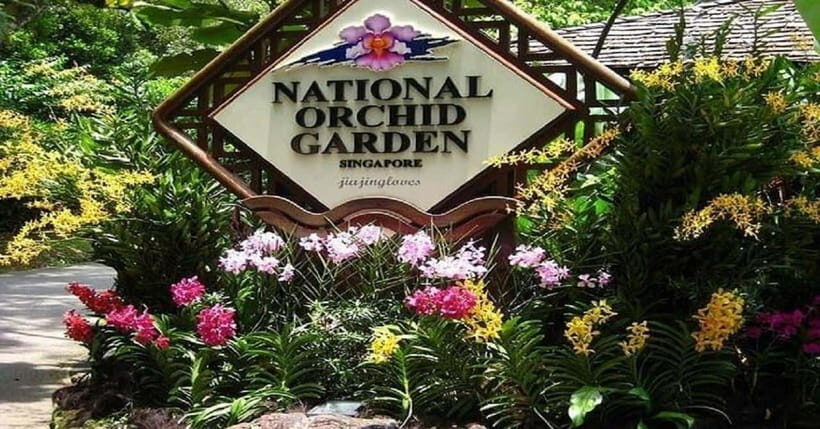 Singapore: Private Full-Day Island Tour - 10001 Light Buddha Temple (Sakya Muni Buddha Gaya Temple): A Calm Anchor