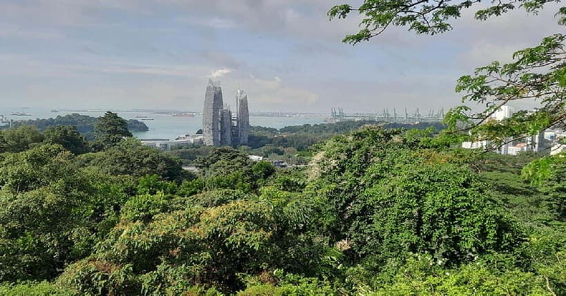 Singapore: Private Full-Day Island Tour - Little India Town: Where the Day Turns Into a Story