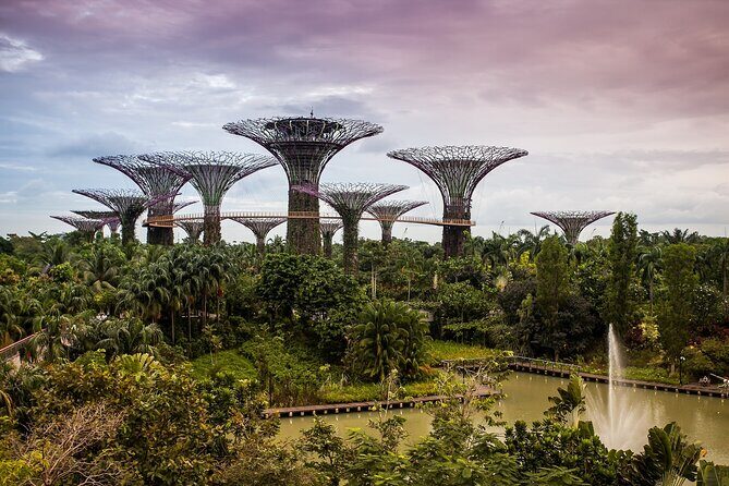 Singapore Private Full-Day Sightseeing Tour - Price and Value: What You’re Really Paying For