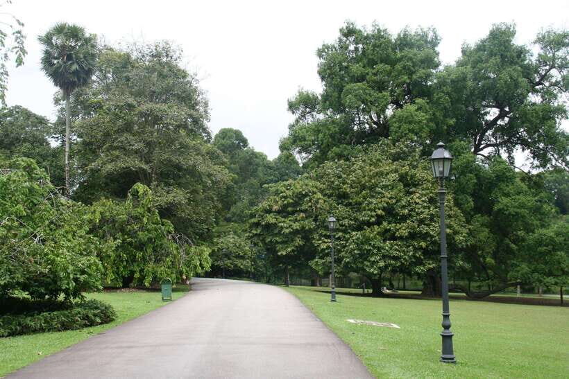 Singapore: Private Tour with a Driver - Animal Night Options: Zoo, Night Safari, and Bird Paradise