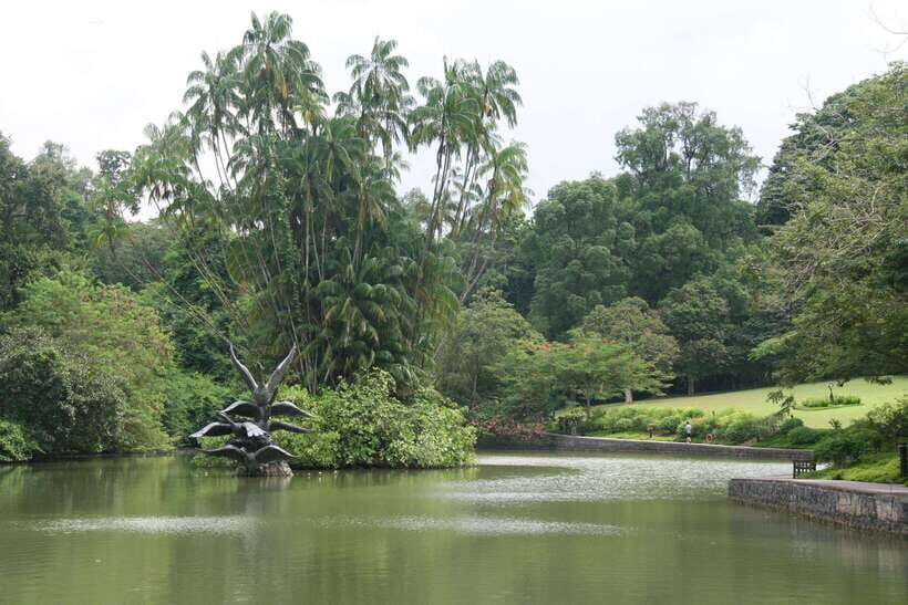 Singapore: Private Tour with a Driver - Nature and Walking: MacRitchie Reservoir and Southern Ridges