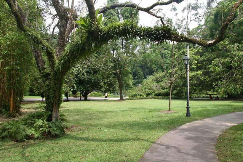 Singapore: Private Tour with a Driver - Offbeat Singapore: Haw Par Villa, Chijmes, Baba House, and Pulau Ubin
