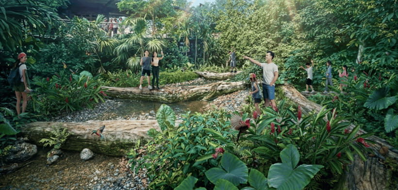 Singapore: Rainforest Wild Asia Entry Ticket - Timing, Packing, and How to Avoid a Bad Start