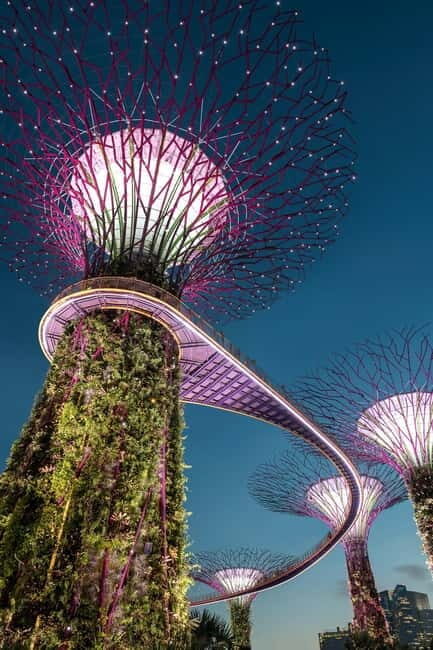 Singapore River Cruise, Garden Rhapsody & Spectra by CYT - Price and Value: What $55 Buys You in Real Sightseeing Time