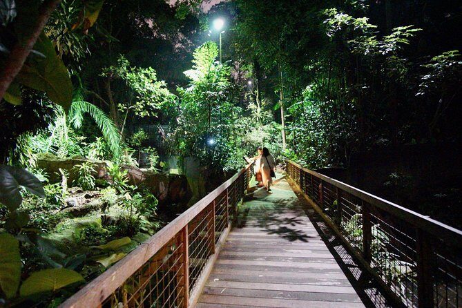 Singapore River & Night Safari-COMBO (Shared Transfer) - River Safari Time and Walking Reality: What to Watch For
