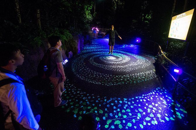Singapore River & Night Safari-COMBO (Shared Transfer) - Night Safari (After Dark): Nocturnal Animals and the Big Performances