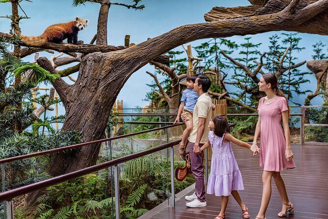 Singapore: River Wonders Entry Ticket - The optional Amazon River Quest boat ride: when it’s worth adding