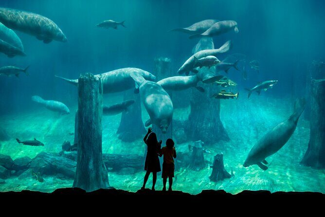 Singapore: River Wonders Entry Ticket - Comfort in Singapore: shade, restrooms, and food matter