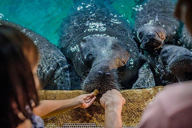 Singapore: River Wonders Entry Ticket - Who should book this River Wonders ticket?