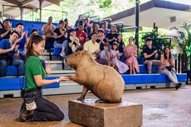 Singapore: River Wonders Entry Ticket - Price, timing, and booking: how to plan like a local