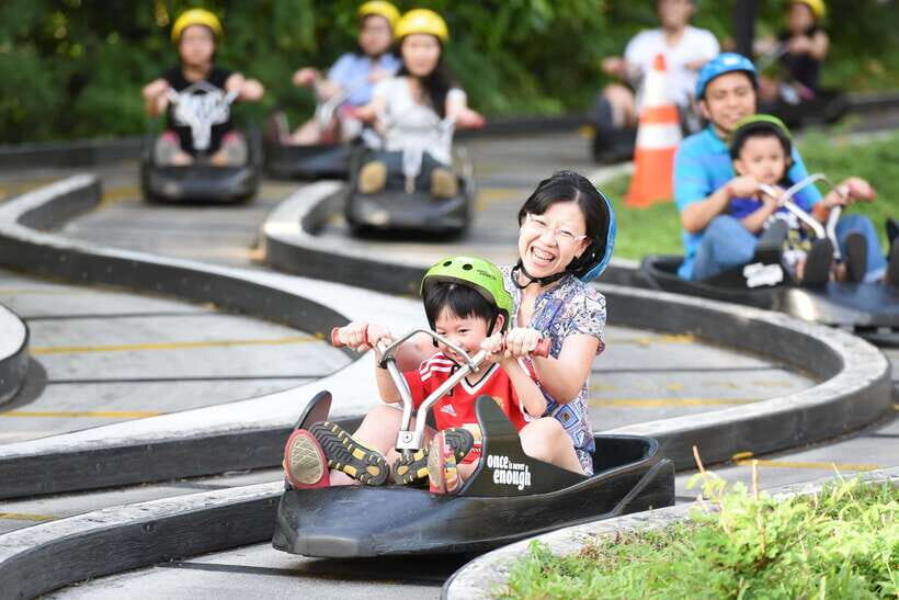 Singapore: Skyline Luge Sentosa Entry Ticket - Day vs Night: What Night Luge Changes