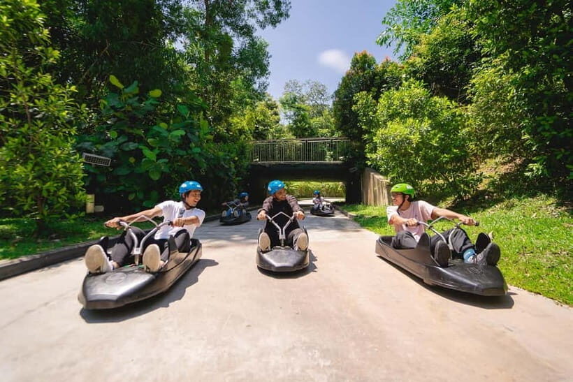 Singapore: Skyline Luge Sentosa Entry Ticket - Price and Value: Does $27 Feel Fair for Skyline Luge?