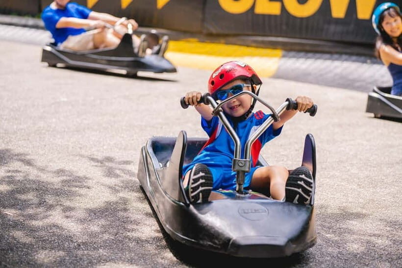 Singapore: Skyline Luge Sentosa Entry Ticket - Who Will Love Skyline Luge Sentosa Most?