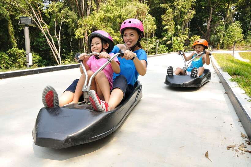 Singapore: Skyline Luge Sentosa Tickets - Key Things You’ll Care About