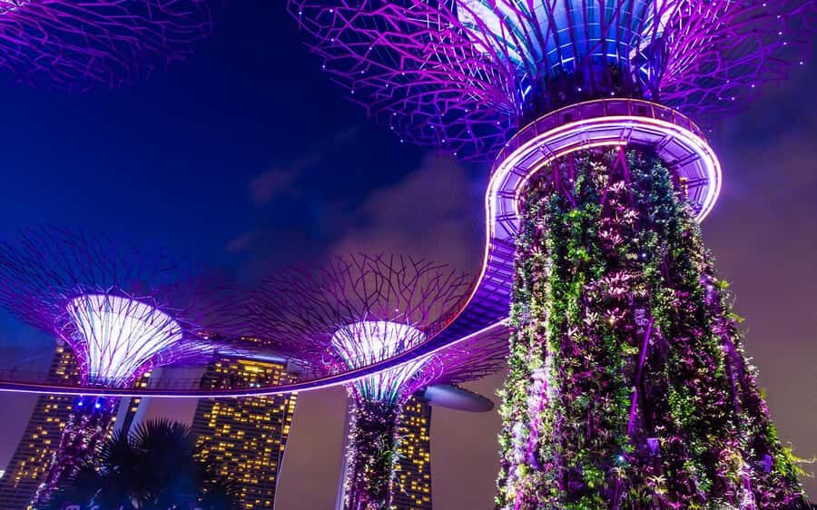 Singapore Starry Night: Cruise, Garden Rhapsody & Spectra - Gardens by the Bay: Supertrees plus Garden Rhapsody timing