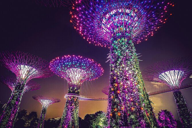 Singapore Starry Night Cruise, Garden Rhapsody & Spectra Show - Singapore Flyer and Merlion Park: Quick Icons, Real Photo Time