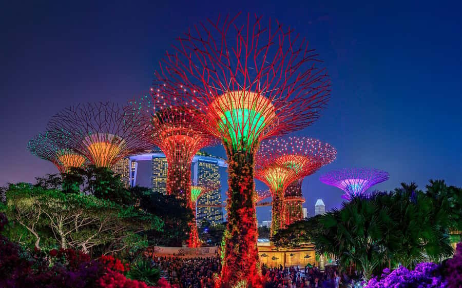 Singapore Starry Night: Cruise, Garden Rhapsody & Spectra - Merlion stop and Anderson Bridge: start with icons, not confusion
