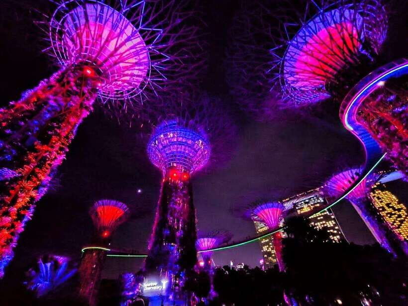 Singapore: Sunset City Tour by Kick Scooter - What you’re really paying for: value at $54 for 4 hours