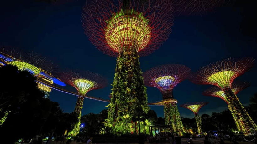 Singapore: Sunset River Cruise and Glittering Light Shows - Hotel pickup and the 5:00–5:30 PM start (what you should expect)
