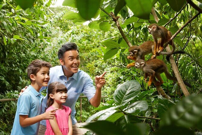 Singapore Zoo - What makes this experience special