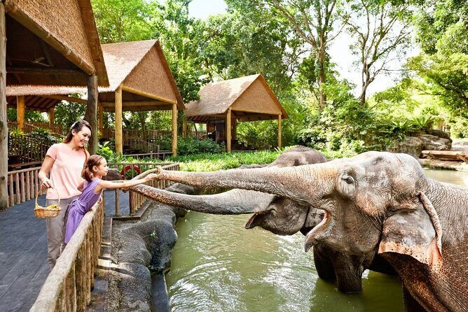 Singapore Zoo - Key highlights you shouldn’t miss