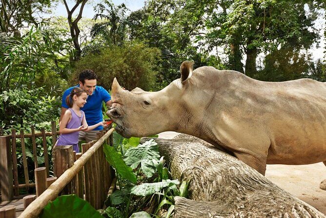 Singapore Zoo - Your one-day plan: how to spend the time without rushing