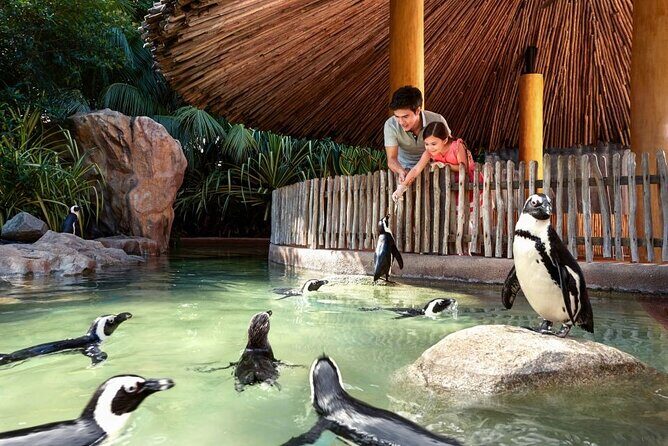 Singapore Zoo - Timing: last admission, closing, and the end-of-day moments