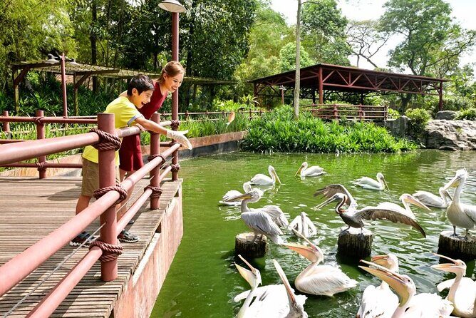 Singapore Zoo - Price and value: is $45.91 worth it?