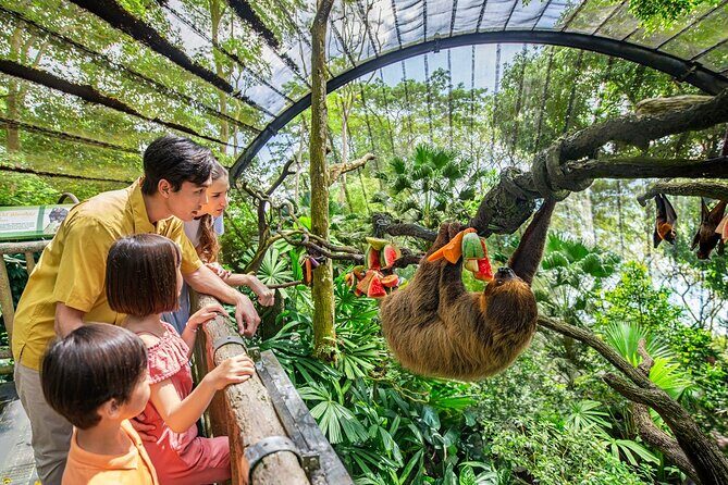 Singapore Zoo Entry Ticket - Key points before you go