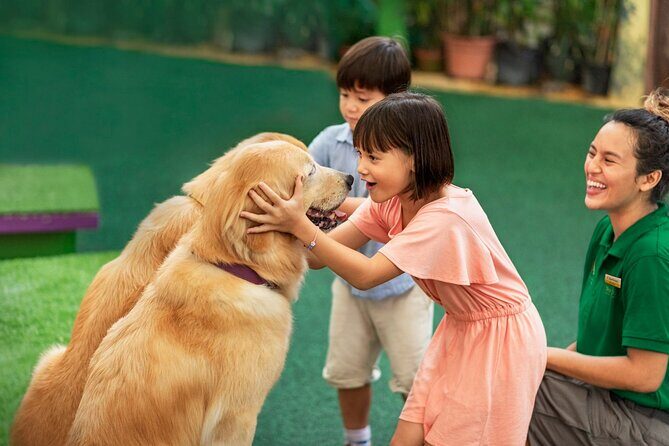 Singapore Zoo Entry Ticket - What to expect inside: a natural-feeling walk-through day