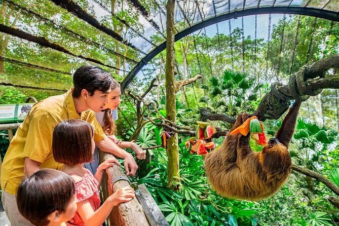 Singapore Zoo & Night Safari Day ( Tickets & Transfer ) - Singapore Zoo and Night Safari in one day: why this pairing works