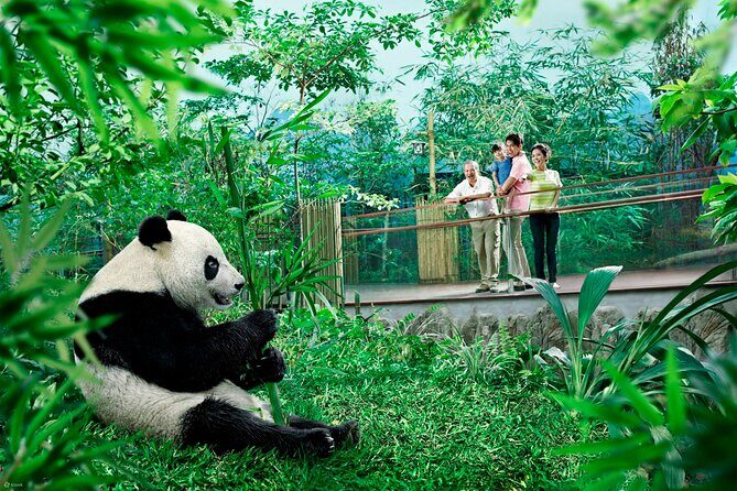 Singapore Zoo & Night Safari Day ( Tickets & Transfer ) - Night Safari at dusk: tram across 7 regions, then keep your eyes open
