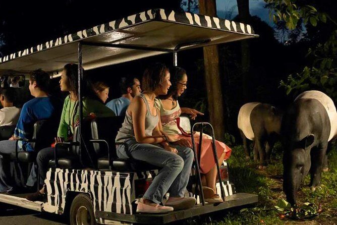 Singapore Zoo & Night Safari Day ( Tickets & Transfer ) - Food, comfort, and packing tips for a long wildlife day