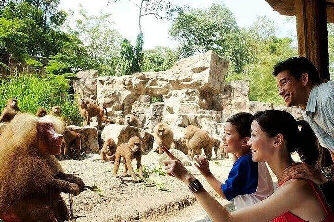Singapore Zoo with Tram Ride Experience for Tourist - Why the tram ride matters more than you think at Singapore Zoo