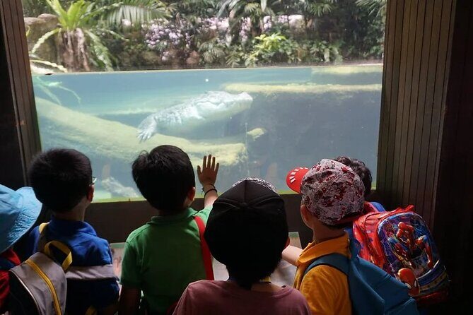 Singapore Zoo with Tram Ride Experience for Tourist - Stop 1: Singapore Zoo open habitats, audio narration, and real wildlife viewing