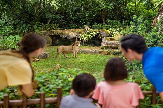 Singapore Zoo with Tram Ride Experience for Tourist - Should you book Singapore Zoo with tram ride?