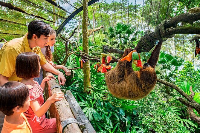 Singapore Zoo - The included ticket deal: admission plus tram ride (and optional transfer)