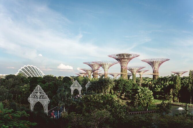 Singapore’s Hidden Treasures: A Cultural Private Tour - Gardens by the Bay, seen from the outside: architecture and air between neighborhoods