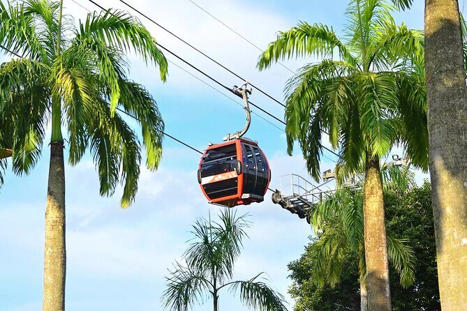 Skip the Line: Singapore Cable Car Sky Pass (Round-Trip) - Sky Pass in the Clouds: The Real Appeal of a Cable Car Round Trip