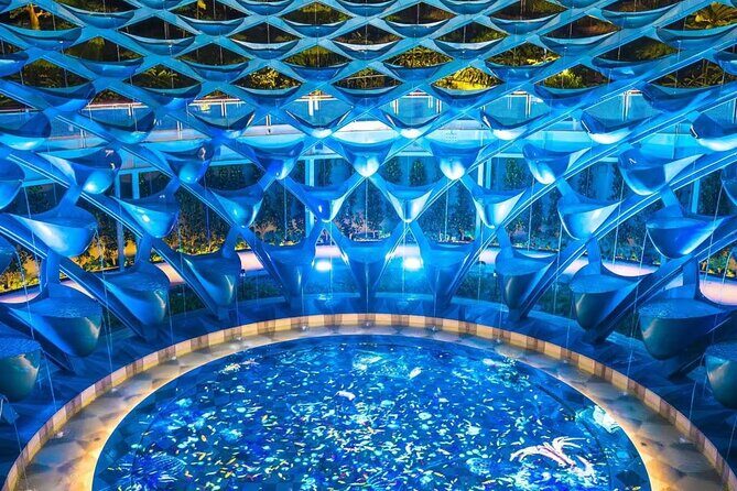 (Small Group) Starry Night Singapore Sentosa Tour - Price and value: what $120.12 really buys you