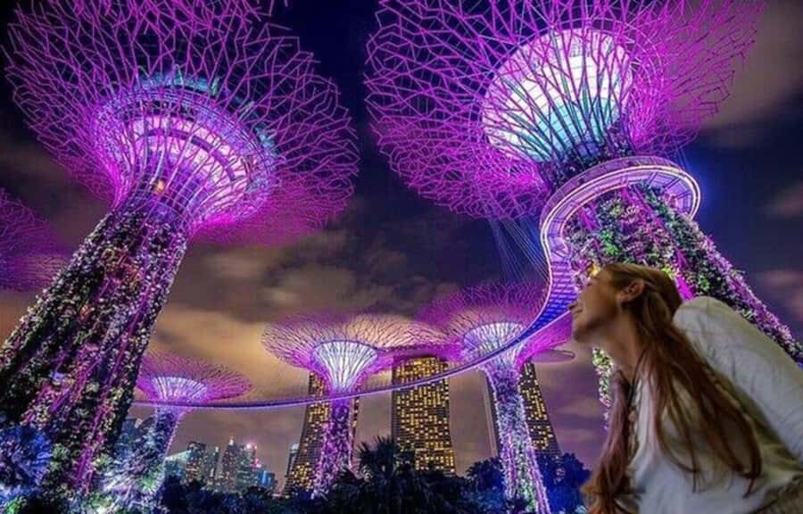 Spectra & Garden Rhapsody Shows with Singapore River Cruise - Key points I’d plan around