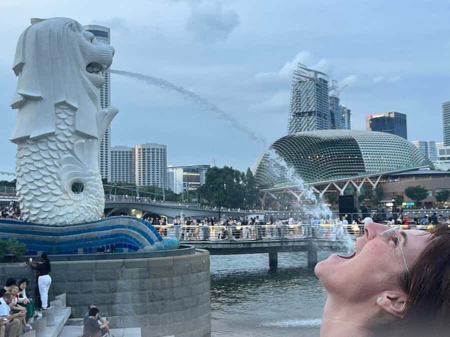 Spectra & Garden Rhapsody Shows with Singapore River Cruise - Hotel Pickup, Air-Conditioned Transport, and Fewer Night Frictions
